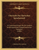 Ubersicht Der Slavischen Sprachenwelt: Im Zusammenhange Mit Den Andern Arioeuropaischen Indogermanischen Sprachen (1884) 1167997301 Book Cover