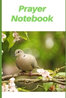 Prayer Notebook 1086808371 Book Cover