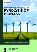 Pyrolysis of Biomass 3110374579 Book Cover