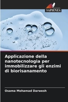 Applicazione della nanotecnologia per immobilizzare gli enzimi di biorisanamento (Italian Edition) 6209389945 Book Cover