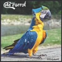 Cute Parrot 2022 Calendar: Official Parrot Birds 2022 Calendar, 16 Month B093RP1D6N Book Cover