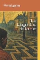 Le labyrinthe de la rue (French Edition) B0FPXFQYCG Book Cover