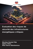 Évaluation des risques de sécurité des infrastructures énergétiques critiques (French Edition) 6207174992 Book Cover