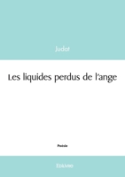 Les liquides perdus de l'ange (French Edition) 2414628650 Book Cover