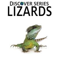 Lizards: Discover Series Picture Book for Children 1623950619 Book Cover