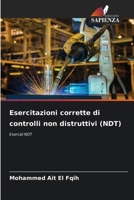 Esercitazioni corrette di controlli non distruttivi (NDT) (Italian Edition) 6208500230 Book Cover
