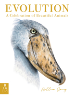 Evolution: A Celebration of Beautiful Animals 153623835X Book Cover
