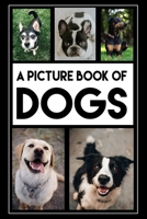 A Picture Book of Dogs: A Photo Book for Alzheimer's Patients, Seniors with Dementia, Parkinson's Disease or Stroke B08579GCJQ Book Cover