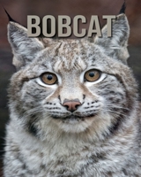 Bobcat: Childrens Book Amazing Facts & Pictures about Bobcat B08CPCD95J Book Cover