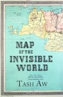 Map of the Invisible World 0385527969 Book Cover