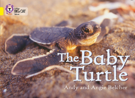 The Baby Turtle: Band 03/Yellow (Collins Big Cat) 0007186592 Book Cover