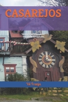 CASAREJOS:: HISTORIAS DE CAMIONEROS B08SH89T14 Book Cover