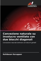 Convezione naturale su involucro ventilato con due blocchi diagonali (Italian Edition) 6209403093 Book Cover