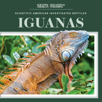 Iguanas 1725352923 Book Cover