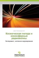 Kosmicheskaya Pogoda I Ionosfernye Radiovolny 3847392905 Book Cover