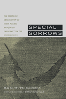 Special Sorrows: The Diasporic Imagination of Irish, Polish, and Jewish Immigrants in the United States 0674831853 Book Cover