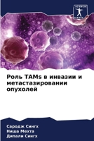 Роль TAMs в инвазии и метаста& 6206980170 Book Cover