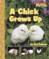 A Chick Grows Up (Scholastic News Nonfiction Readers) 0516249444 Book Cover