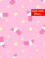 2020-2021 Planner: Nice 24 Months Calendar, 2 Year Appointment Calendar, Business Planners, Agenda Schedule Organizer Logbook and Journal 1696037417 Book Cover