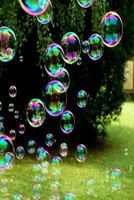 SOAP BUBBLES: A soap bubble is an extremely thin film of soapy water enclosing air that forms a hollow sphere with an iridescent surface. Soap bubbles ... their own or on contact with another object. 179655202X Book Cover