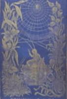 Victorian Decorated Trade Bindings, 1830-1880: A Descriptive Bibliography 1584560959 Book Cover