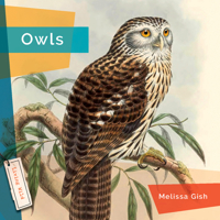 Owls 168277161X Book Cover