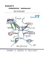Bailey's Afrocentric Vocabulary Dictionary Volume 17: - 1718602901 Book Cover