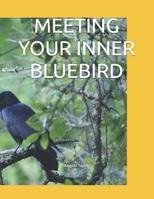 MEETING YOUR INNER BLUEBIRD (MEETING WILDLIFE FRIENDS HAVING EPIC ADVENTURES SERIES) B0H6QL8SCY Book Cover