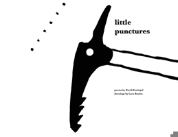 Little Punctures 1088077072 Book Cover