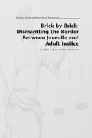 Brick by Brick: Dismantling the Border Between Juvenile and Adult Justice 1478262621 Book Cover