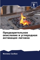 Предварительное окисление и углеродная активация лигнина 6205929864 Book Cover