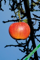 Garden Notes: Ripe red Apple. Format A5, 120 pages, fine grey lined. Journal, diary, notebook and garden planner for everything that happens in the garden throughout the year. 1706161050 Book Cover