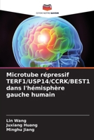 Microtube répressif TERF1/USP14/CCRK/BEST1 dans l'hémisphère gauche humain (French Edition) 6209007236 Book Cover