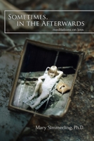 Sometimes, in the Afterwards: Meditations on Loss 1068828501 Book Cover