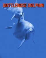 Bottlenose Dolphin: Incredible Pictures and Fun Facts about Bottlenose Dolphin B08KQBYQDK Book Cover