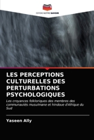 LES PERCEPTIONS CULTURELLES DES PERTURBATIONS PSYCHOLOGIQUES: Les croyances folkloriques des membres des communautés musulmane et hindoue d'Afrique du Sud 6203191523 Book Cover