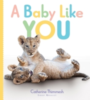 A Baby Like You 1328553124 Book Cover