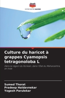 Culture du haricot à grappes Cyamopsis tetragonoloba L (French Edition) 6630178920 Book Cover
