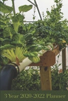 Aquaponics 3 Year 2020-2022 Planner: Compact 6” x 9” 3 Year 2020-2022 Planner for Aquaponics Growers 1673445748 Book Cover