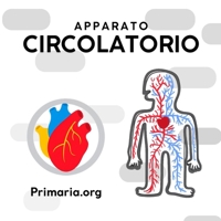 Apparato circolatorio per la Scuola Primaria: Libri per bambini apparato circolatorio: un percorso completo e operativo (Libri illustrati per la Scuola Primaria) (Italian Edition) B0HKM1Y2WP Book Cover