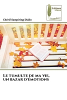 Le tumulte de ma vie, un bazar d'émotions (French Edition) 6207812867 Book Cover