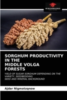 SORGHUM PRODUCTIVITY IN THEMIDDLE VOLGAFORESTS: YIELD OF SUGAR SORGHUM DEPENDING ON THE VARIETY, SEEDBEDDING SEED AND MINERAL BACKGROUND 6202950404 Book Cover