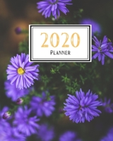 2020 Planner: Weekly and Monthly Planner Calendar Jan 1, 2020 to Dec 31, 2020: Monthly Goals Sheet 1654884391 Book Cover