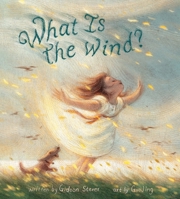 What Is the Wind? 0063358018 Book Cover