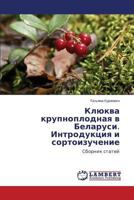 Klyukva krupnoplodnaya v Belarusi. Introduktsiya i sortoizuchenie: Sbornik statey 3659594490 Book Cover