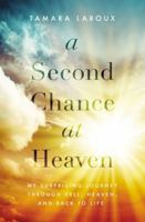 Second Chance at Heaven, A 0785217010 Book Cover