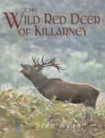 The Wild Red Deer of Killarney: A Personal Experience and Photographic Record of the Yearly and Life Cycles of the Native Irish Red Deer of County Ker 1902011090 Book Cover