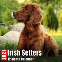 Calendar 2021 Irish Setters: Cute Irish Setter Photos Monthly Mini Calendar With Inspirational Quotes each Month B08C96QVBT Book Cover