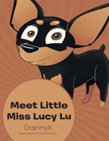Meet Little Miss Lucy Lu 152461419X Book Cover