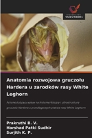 Anatomia rozwojowa gruczolu Hardera u zarodków rasy White Leghorn (Polish Edition) 6209570402 Book Cover